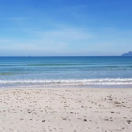 Ideal Mallorca - Comaro * Alcudia (Mallorca)